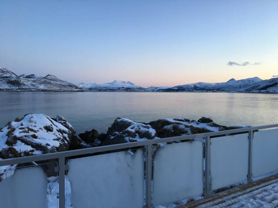 Hytte Ved Sjoen Napp Екстериор снимка